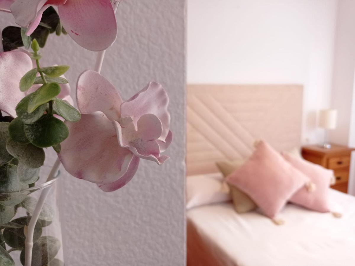 La Joya Apartment 托雷努埃瓦 外观 照片